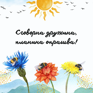 Комплект "Благодаря" - Image 2